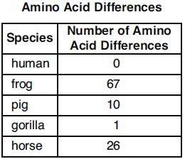Part D Questions 17. The data table shows the number of amino acid differences in the hemoglobin molecules of several species compared with amino acids in the hemoglobin of humans.