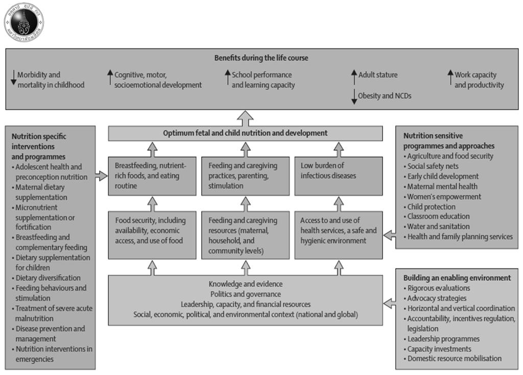 Framework for actions to achieve OPTIMUM fetal & child nutrition and development Black, et al, MCN 1, Lancet 2013; Summary 1. Nutrition in transition is observed in most countries in SEA 2.