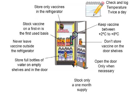 Vaccine Fridges Offices must store biologicals in a dedicated vaccine refrigerator. Refrigerators should be selected carefully and used properly.