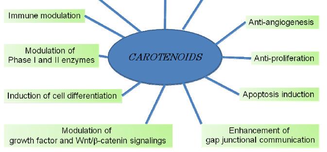 BACKGROUND Proposed mechanisms of action of phytosterols and carotenoids on carcinogenesis