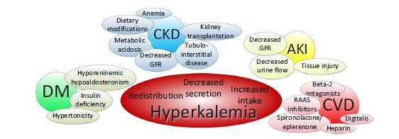 The hyperkalemia Hyperkalemia is a common clinical problem in CKD patients.