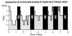 10 Idealized Sleep Histogram Note REM sleep 11 Normal Sleep in Infants Term infant - 16-18 hrs sleep 3-4 hr cycle throughout day Increasing day wakefulness and night sleep by 1 month 6 month mean