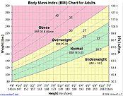 Body Mass Index One indicator of