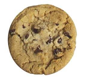 Chocolate Chip Cookie 20 Years