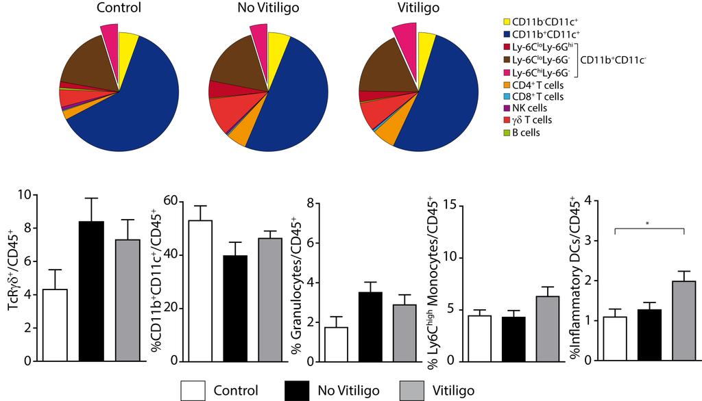 Figure S10: Characterization of immune cells infiltrating the skin of 6-week old MT/ret mice with or without vitiligo.