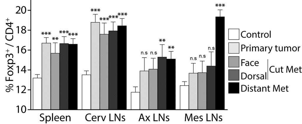 Figure S6: Percentage of Tregs in MT/ret mice according to their symptoms.