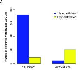 secondary GB 88% of low-grade astrocytomas 79% of oligodendrogliomas 5% of primary GB Christensen BC et al.