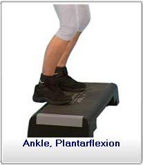 At the same time, press your body weight downward on your knee to resist the motion.