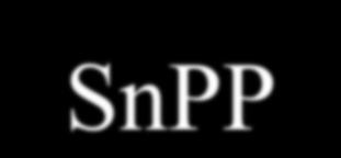 SnPP Significantly Increases the