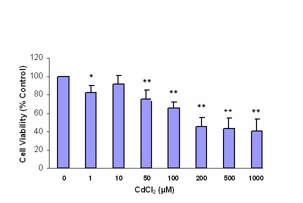 The cytotoxic effects of cadmium chloride on the... Fig. 1. Effects of cadmium chloride on survival of human lung adenocarcinoma (Calu-6) cell line at 48 h.