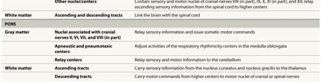 nuclei of cranial nerves Relay stations along sensory