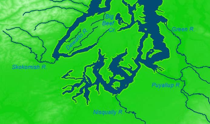 (NWFSC) Green River: 26-29 Fred Goetz, Tom Quinn et al (UW, ACOE) Puyallup River: