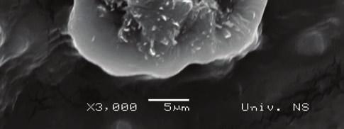2 and shows that ZnO powder is nonaglomerated and has slightly elongated particles with broad size distribution and the average size of ~60 nm.