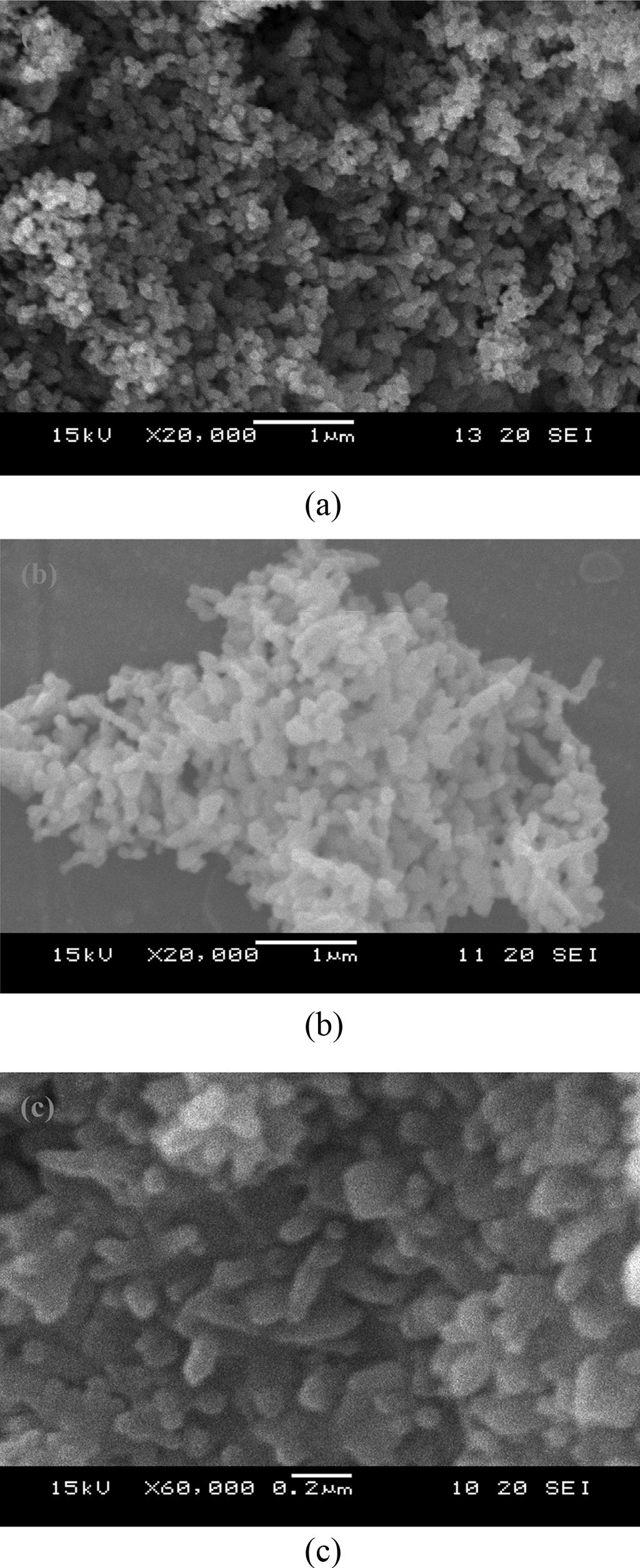 Investigation of nano-sized ZnO particles fabricated by various synthesis routes 423 SEM images of ZnO nanoparticles prepared by different methods: (a) direct precipitation using Zn(NO3)2/(NH4)2CO3
