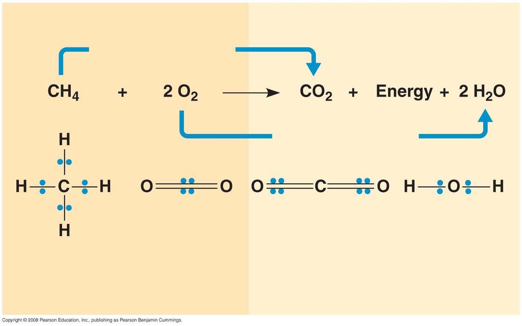 Fig. 9-3 When H 2 0 is formed, electrons of the covalent bond stay closer to O 2, so oxygen has gained electrons and is reduced Reactants becomes oxidized Products becomes