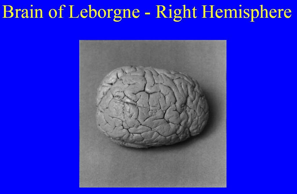 Leborgne: intelligent, good comprehension,