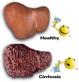 Liver Functions: Detoxification of blood 1.