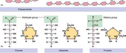 two monosaccharides joined during dehydration reaction.