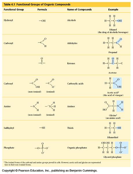 Functional Groups FGs are the pieces that are most commonly involved in chemical reactions The