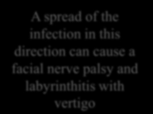 If the infection spreads in this direction, a