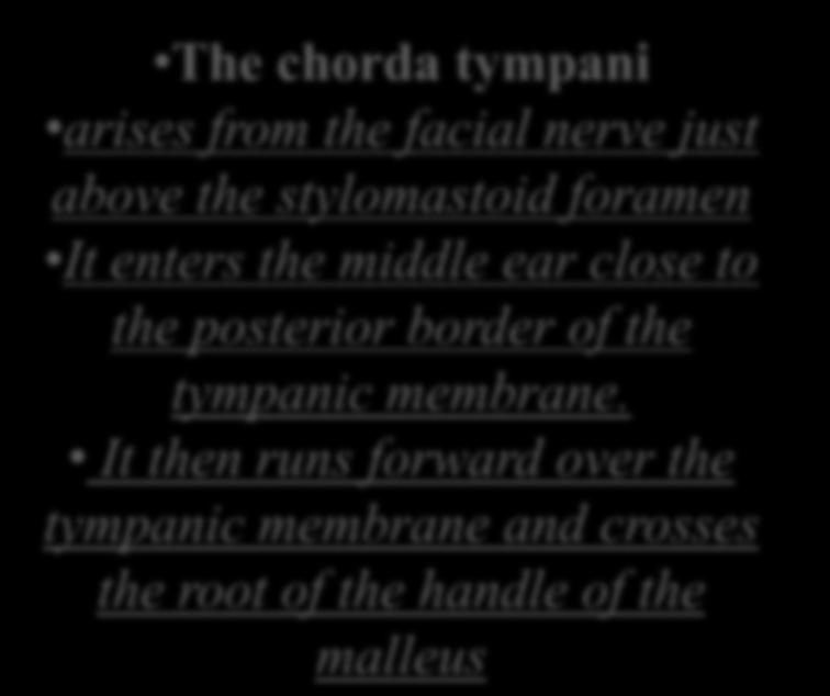 The chorda tympani arises from the facial nerve just above the stylomastoid foramen It enters the middle ear close to the posterior border of the tympanic membrane.