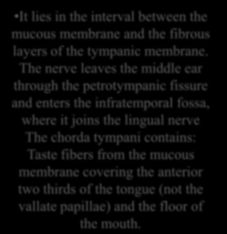 layers of the tympanic membrane.