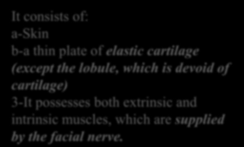 muscles, which are supplied