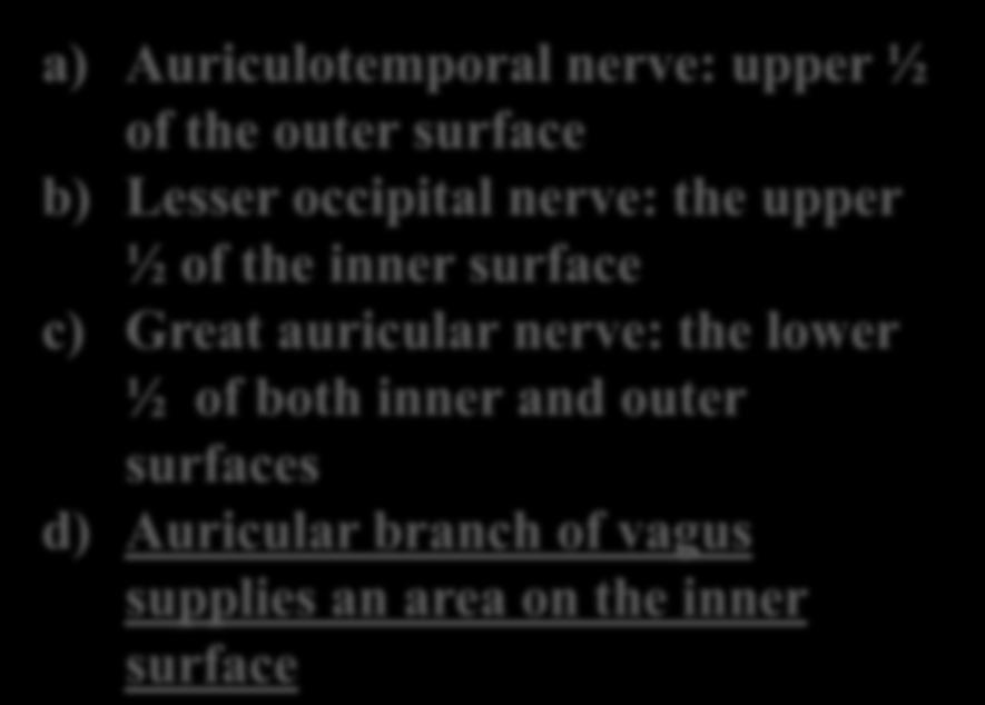 a) Auriculotemporal nerve: upper ½ of the outer surface b)