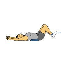 Reverse Crunch with disc and bands Reverse Crunch with disc and bands 1) Start position: Lie with back on floor with hips flexed at 90 and feet in air.
