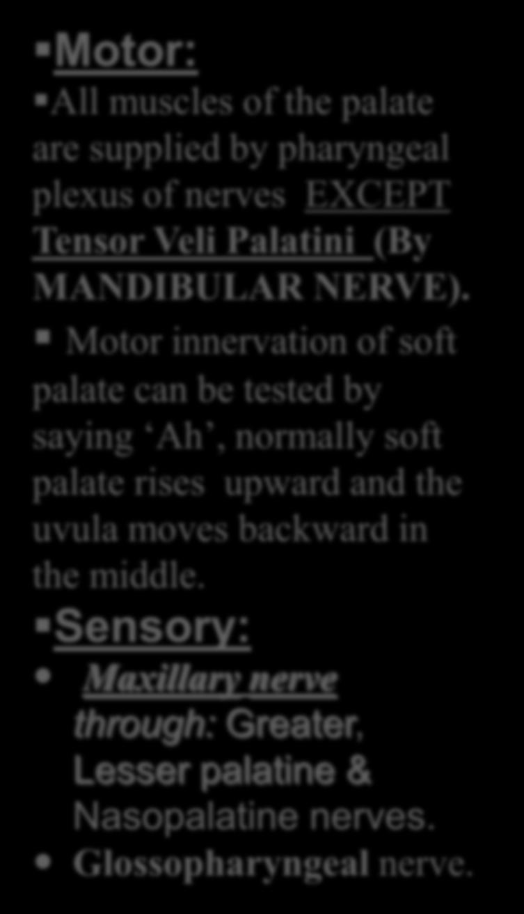 Motor: All muscles of the palate are supplied by pharyngeal plexus of nerves EXCEPT Tensor Veli