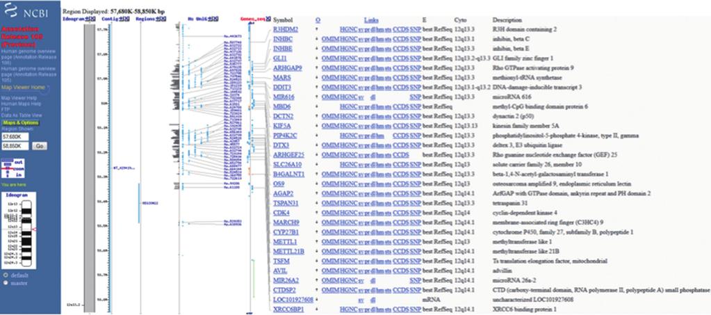 Annals of Translational Medicine, Vol 3, No 7 May 2015 Page 5 of 13 A B C Figure 2 Virtual karyotype generated from a SNP array by chromosome analysis suite freeware.