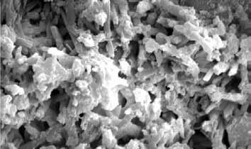 perossal Unique, Nanocrystalline Calcium Phosphate Matrix SEM: perossal cone surface perossal is a unique, synthetic, osteoconductive and resorbable bone graft substitute.
