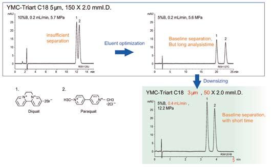 11 Fast LC for conventional HPLC insufficient separation optimisation Baseline separation, but long analysis time Down scaling Eluent: A) water/hfba* (100/0.1) B) acetonitrile/hfba* (100/0.