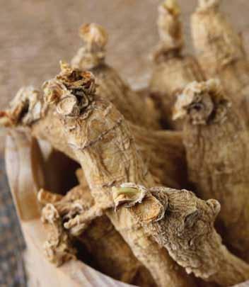it is not related to Asian or American ginseng, and the following analytical methods do not apply to Eleuthero.