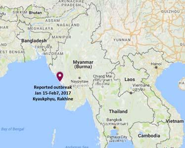 Outbreak investigation FMDV type Asia1 outbreak in 2017 - Asia1 virus was detected in Kyaukphyu District, Rakhine state, Myanmar.