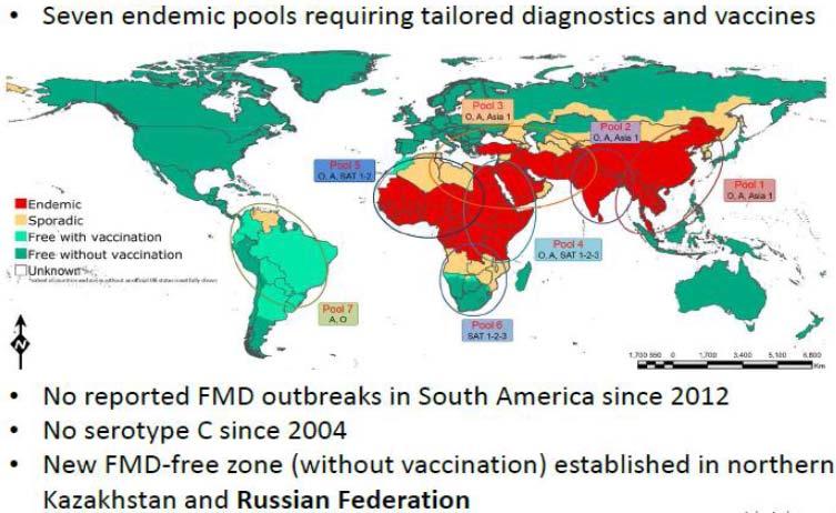 Global status of FMD showing distribution of