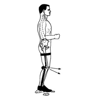 Offset Knee Joints Advantages Ease in rising from a chair Ease in walking due to lack of knee locked in extension