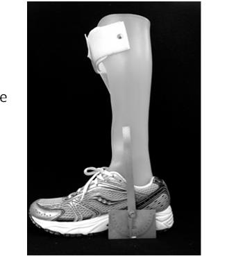 Tibial Angle to Floor While wearing shoes Heel height Differential from