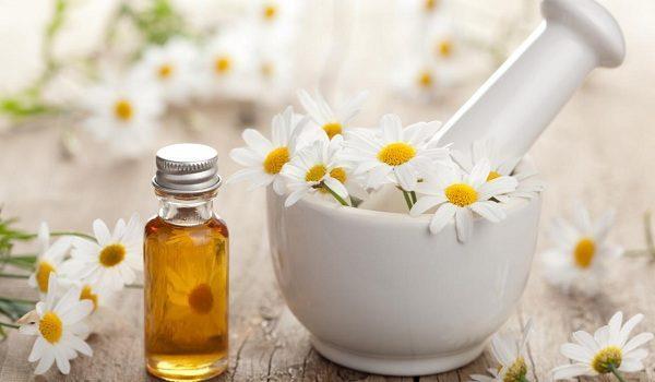 Chamomile Origin: Member of the Asteraceae family Scent: Musky Benefits: Calming Other Benefits: Reduce