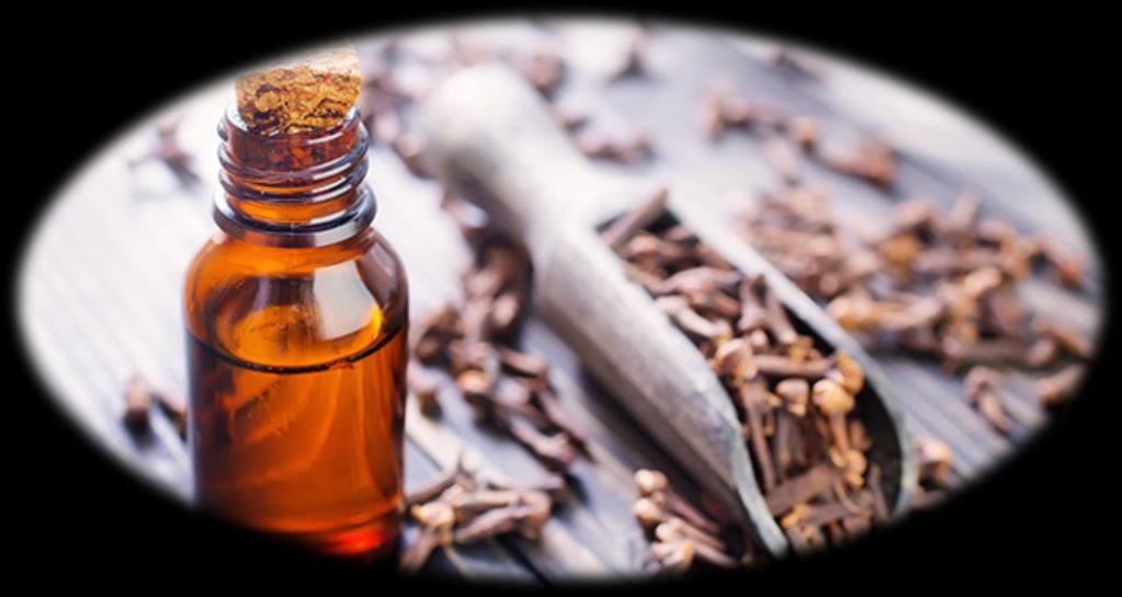 Clove Origin: Old French Scent: Hot and Spicy Benefits: Eliminates Acne Kills Parasites Improves