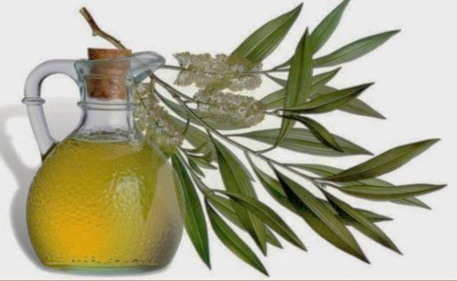 Eucalyptus Origin: Greek Scent: Fresh, camphor like Benefits: May help with cold and flu Hair nourishment Hand