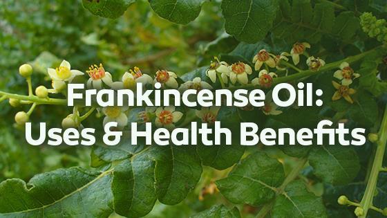 Frankincense Origin: Old French Scent: Sweet and fresh Benefits: Boost Immune system Improves oral health