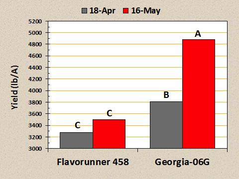 Regardless of the planting date, Georgia-06G had significantly higher yield than Flavorunner 458. Figure 4. Yield of Flavorunner 458 and Georgia-06G as influenced by planting date.