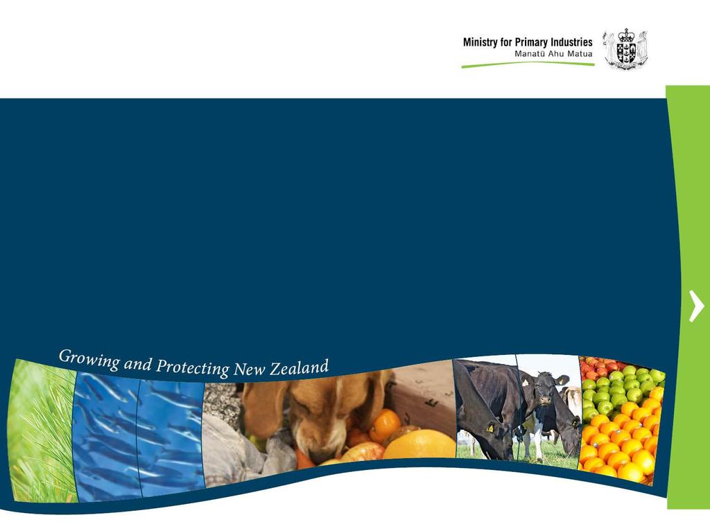 New Zealand Government Oversight of Halal Certification of Animal Products Exported from New