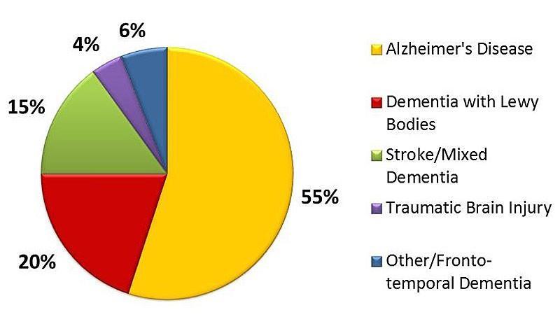 Types of Dementia Alzheimer s Disease (AD) is the most common type, accounting for ~2/3 of all cases and affecting 6-8% of those 65 years old Disease prevalence doubles every 5 years after age 60