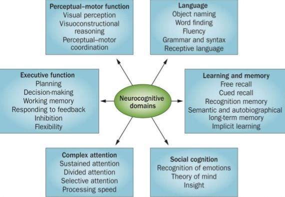 (e.g. short-term, semantic, autobiographical) and implicit learning Language Expressive and Receptive Language Perceptual-Motor Includes
