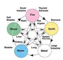 The Theory of Five Elements Similar to the theory of yin and yang, the theory of five elements, wood, fire, earth, metal and water was an ancient philosophical concept used to explain the composition