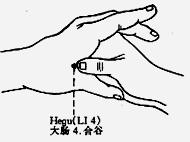 3) Sanjian (LI 3) Location: When a loose fist is made, the point is on the radial side of the index finger, in the depression proximal to the head of the 2nd metacarpal bone (Fig. 12).