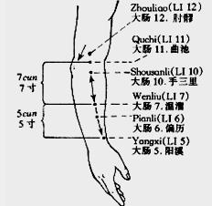 Location: 2 cun below Quchi (LI 11), on the line joining Yangxi (LI 5) and Quchi (LI 11) (Fig. 14).