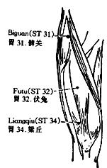 7) Liangmen (ST 21) Location: 4 can above the umbilicus, 2 can lateral to front-midline (Fig. 20).